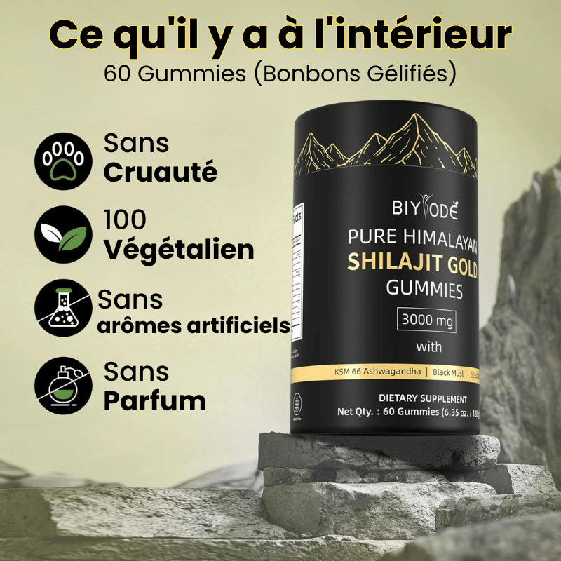 BIYODE™ Gummies (Bonbons Gélifiés) de Shilajit Pure de l'Himalaya